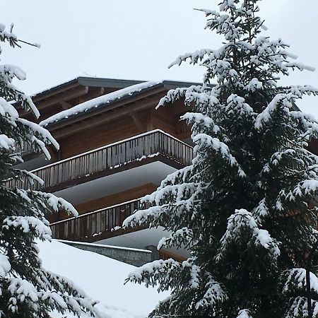 Les 4 Elements Aparthotel Châtel Εξωτερικό φωτογραφία
